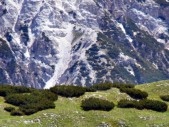 Blick vom Strudelkopf auf die Vorkuppe des Rautkofels (04.07.2011)