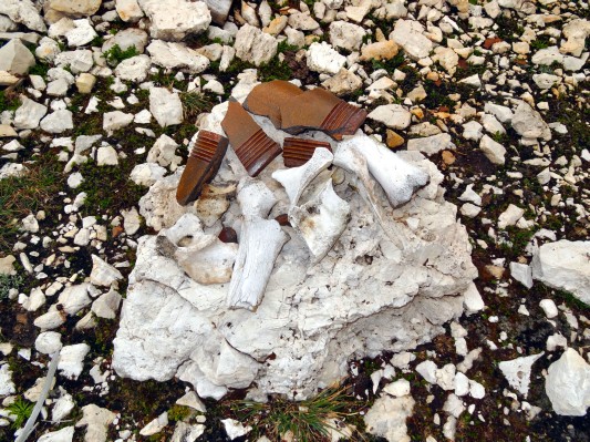 Knochenreste eines gefallenen Soldaten (09.08.2014)