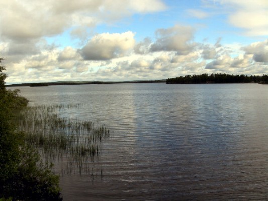 Einer der zahllosen idyllischen finnischen Seen. (28.06.2008) 