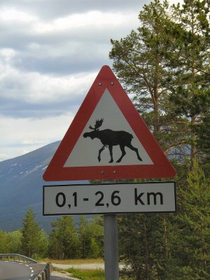 DAS Verkehrszeichen im gesamten Nordland: 