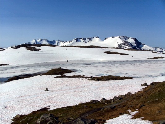 ... Gletscher und Berge im Sognefjell ... (06.07.2008) 