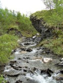 Wanderung im Dovrefjell-Nationalpark, ... (04.07.2008) 