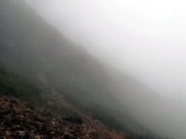 Abschüssige Hangwege im dichten Nebel ... (14.07.2012)