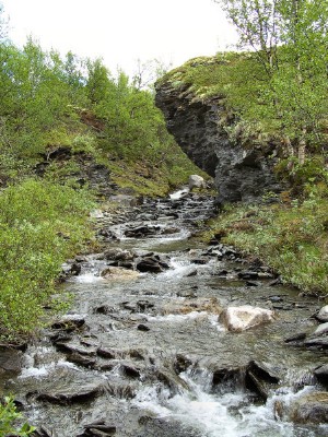 Wanderung im Dovrefjell-Nationalpark, ... (04.07.2008) 